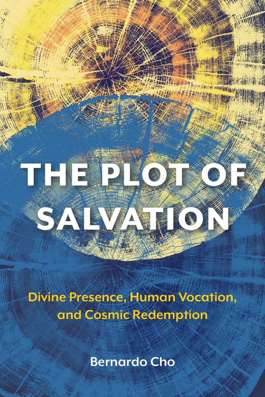 Vorderes Coverbild The Plot of Salvation