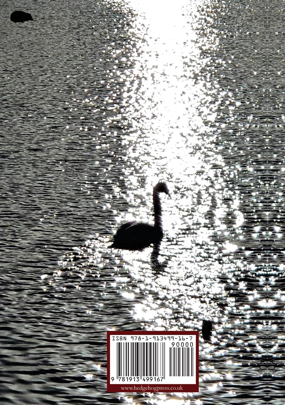 Rückseitencover A Spark in the Darkness