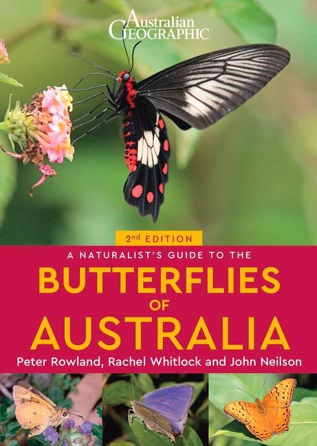 Vorderes Coverbild A Naturalist's Guide to the Butterflies of Australia (2nd)