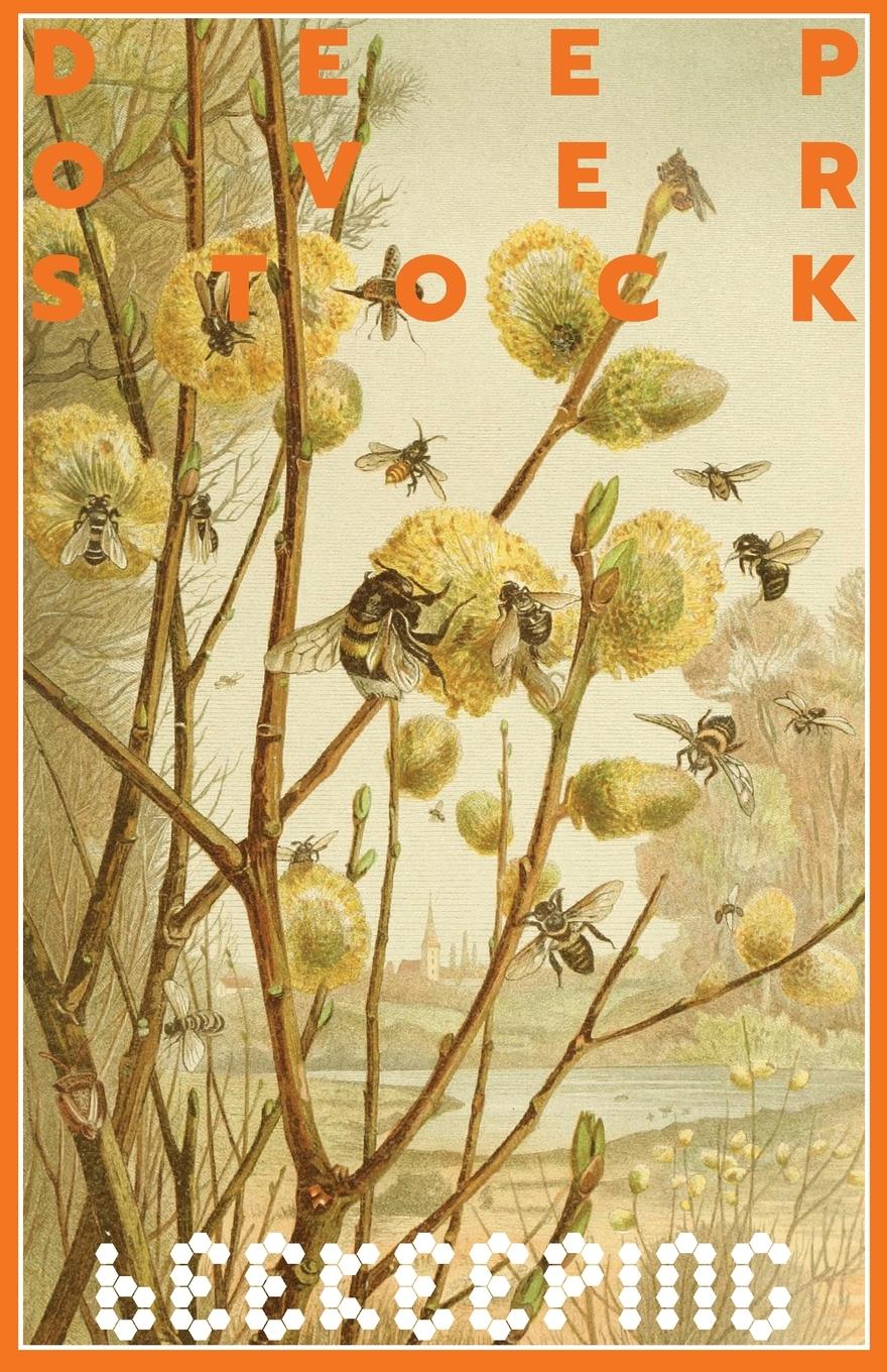 Vorderes Coverbild Deep Overstock Issue 17