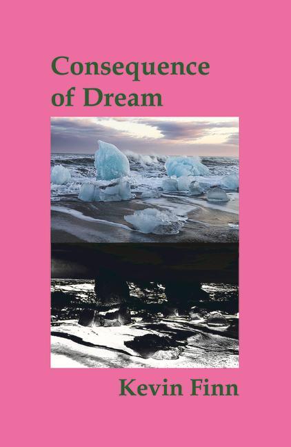 Vorderes Coverbild Consequence of Dream