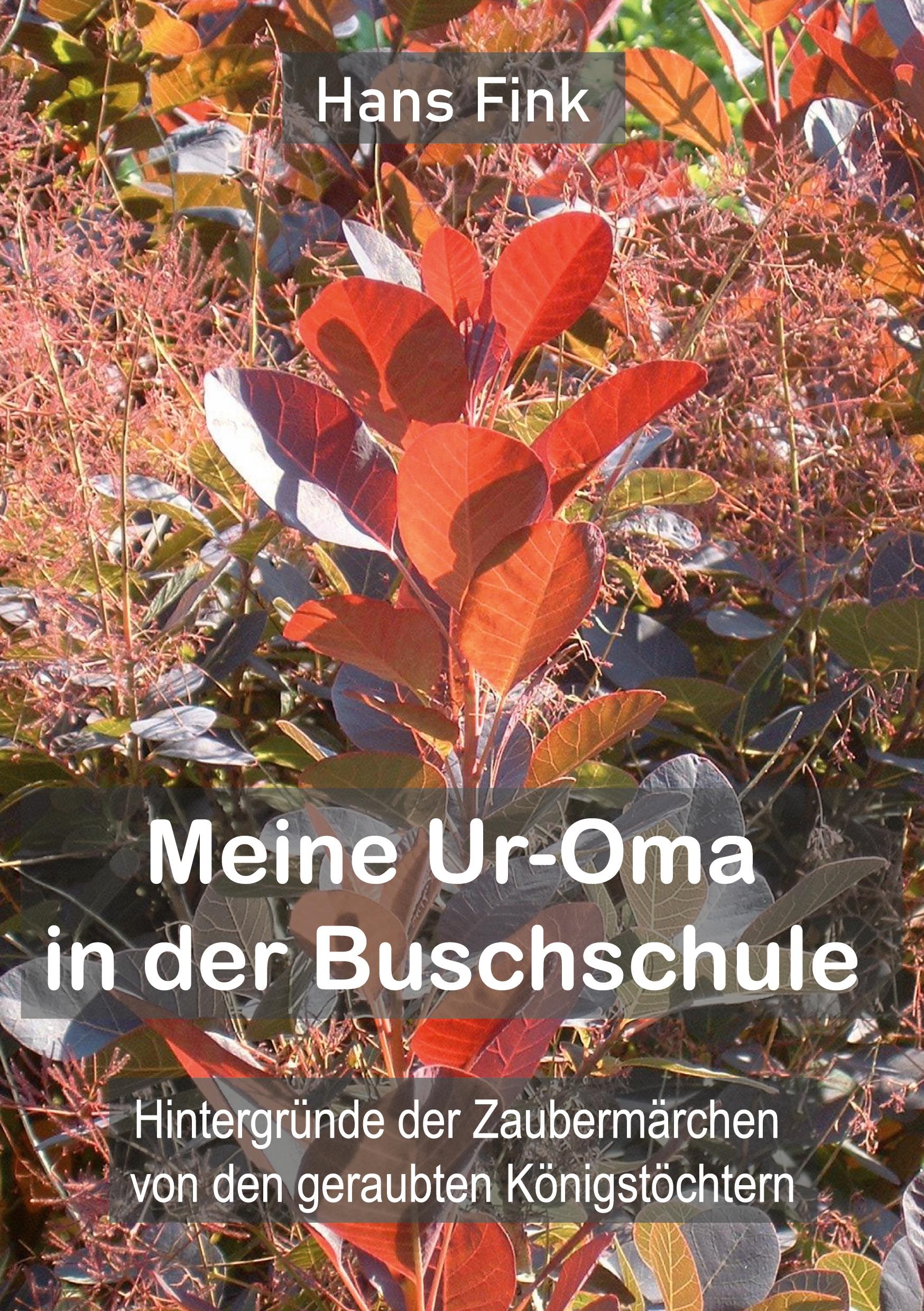 Vorderes Coverbild Meine Ur-Oma in der Buschschule
