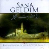 Vorderes Coverbild Sana Geldim