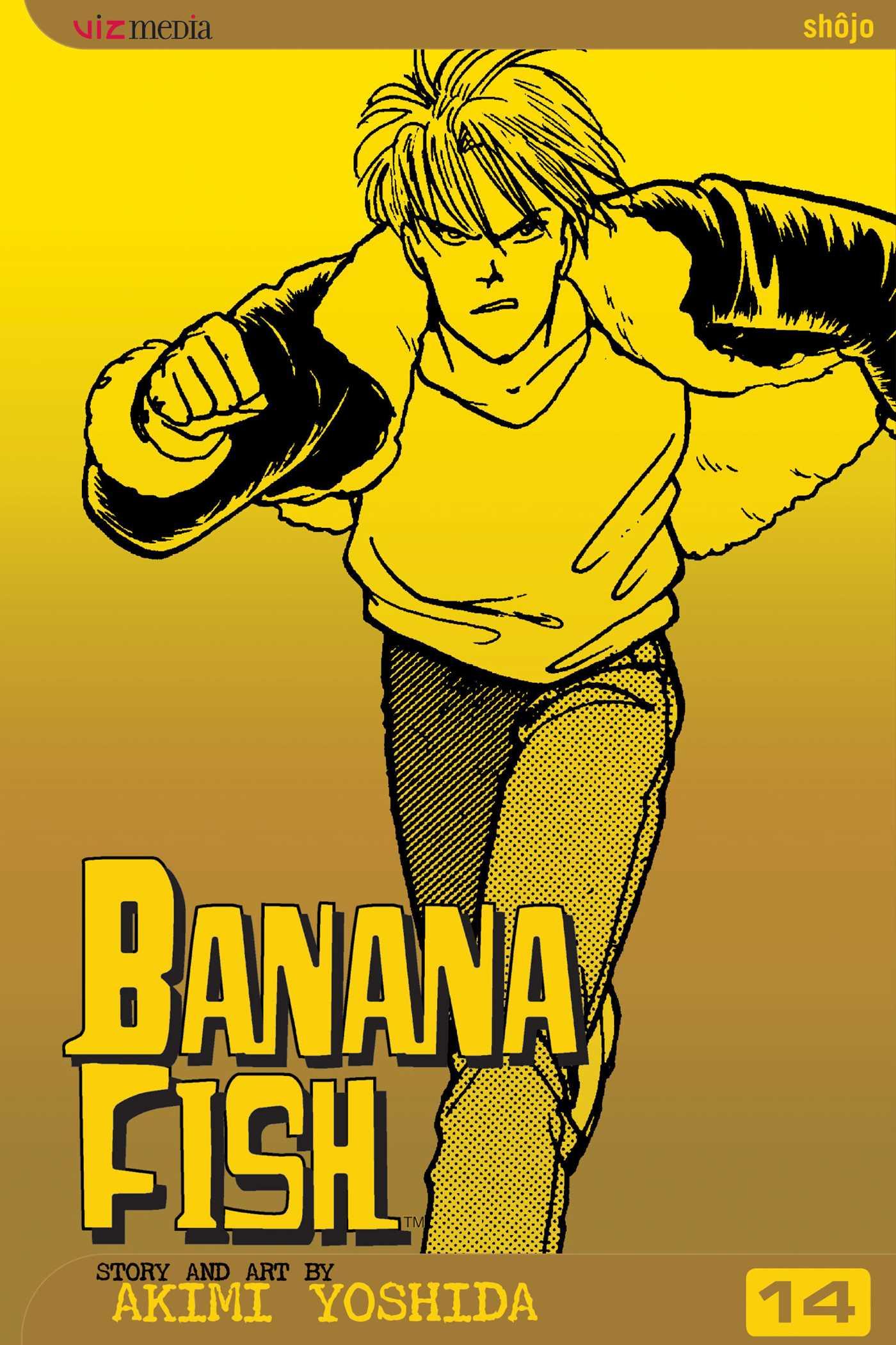 Vorderes Coverbild Banana Fish, Vol. 14