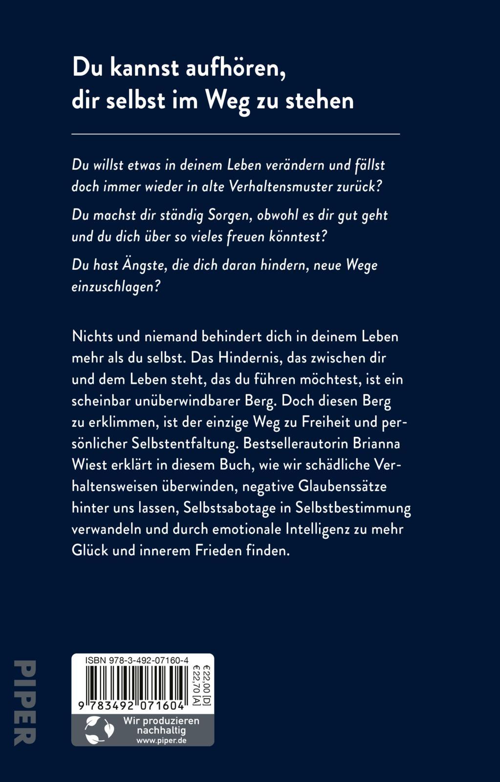 Rückseitencover The Mountain Is You