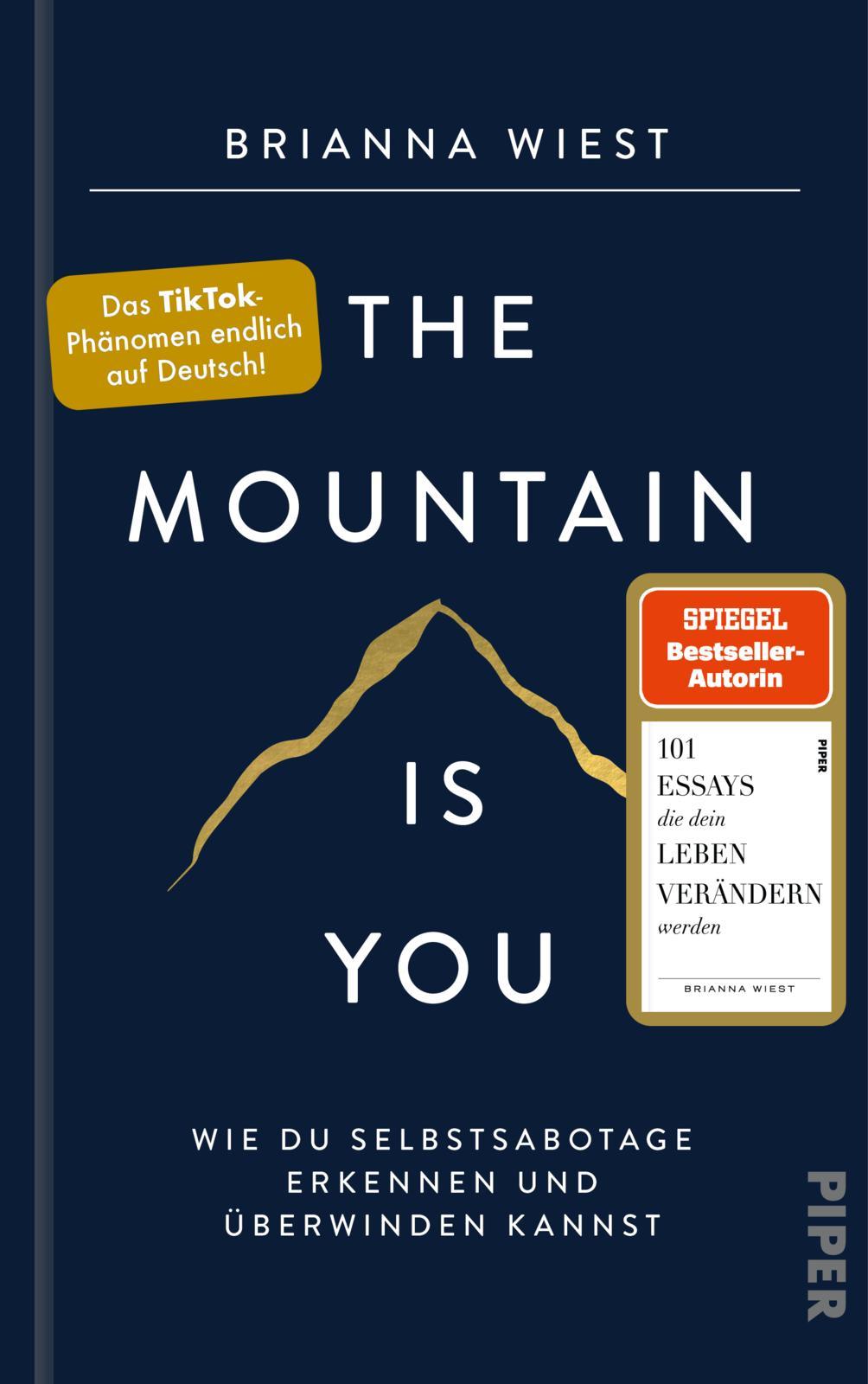 Vorderes Coverbild The Mountain Is You