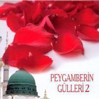 Vorderes Coverbild Peygamberin Gülleri 2 CD