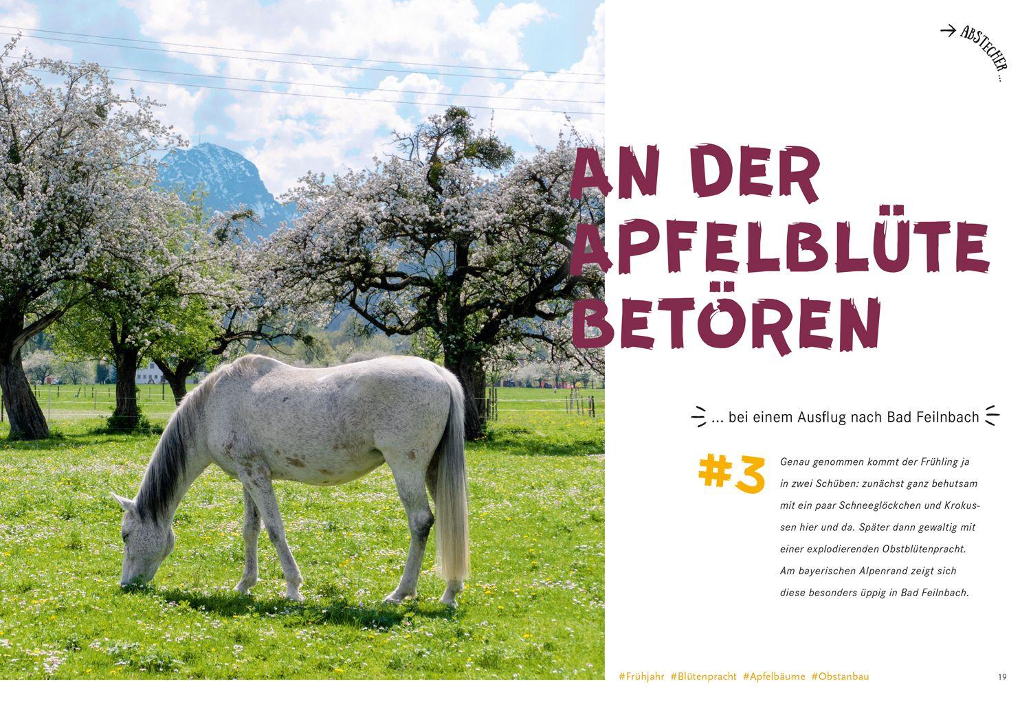 Beispielinhalt (Bild) 52 kleine & große Eskapaden in den Bayerischen Alpen