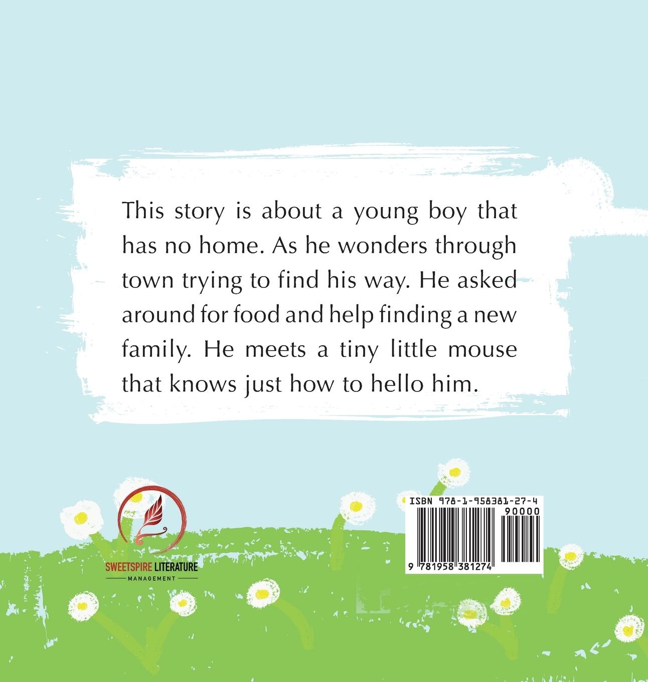 Rückseitencover Boy Without a Home