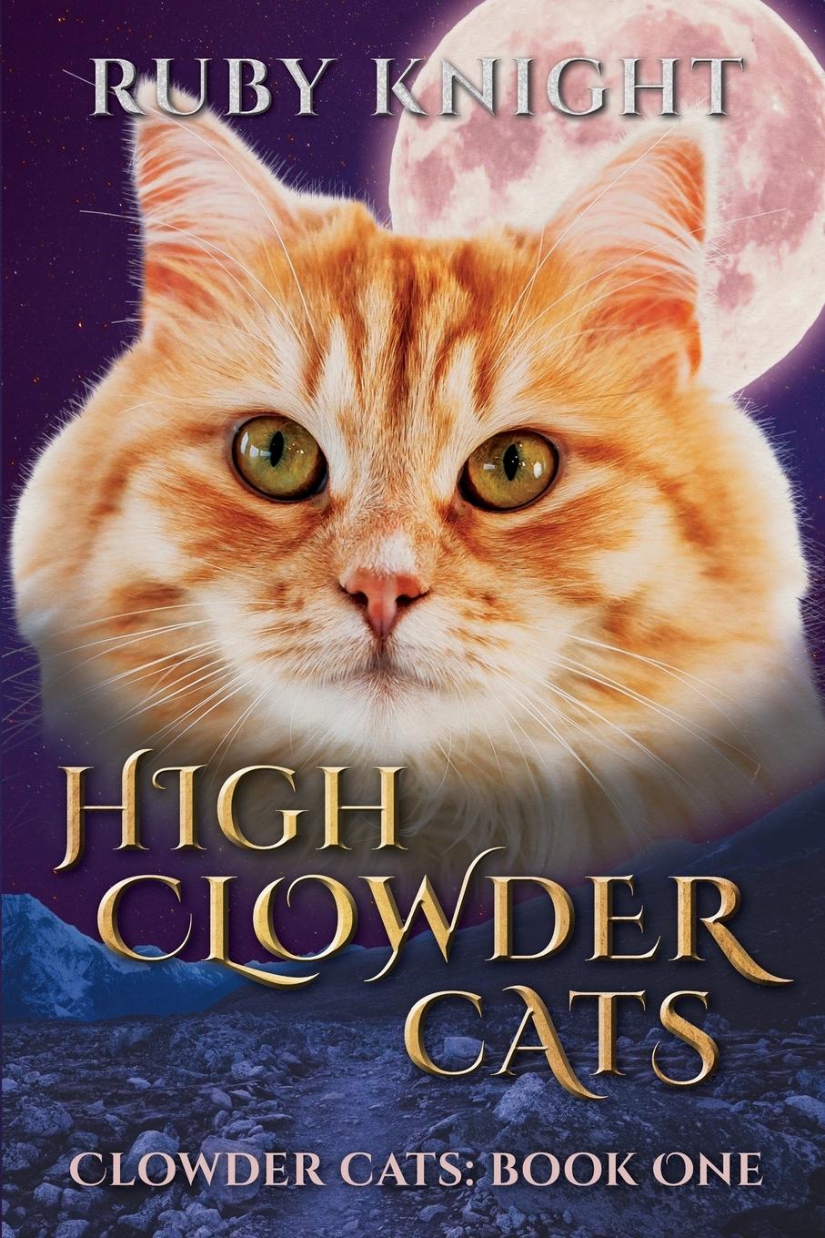 Vorderes Coverbild High Clowder Cats