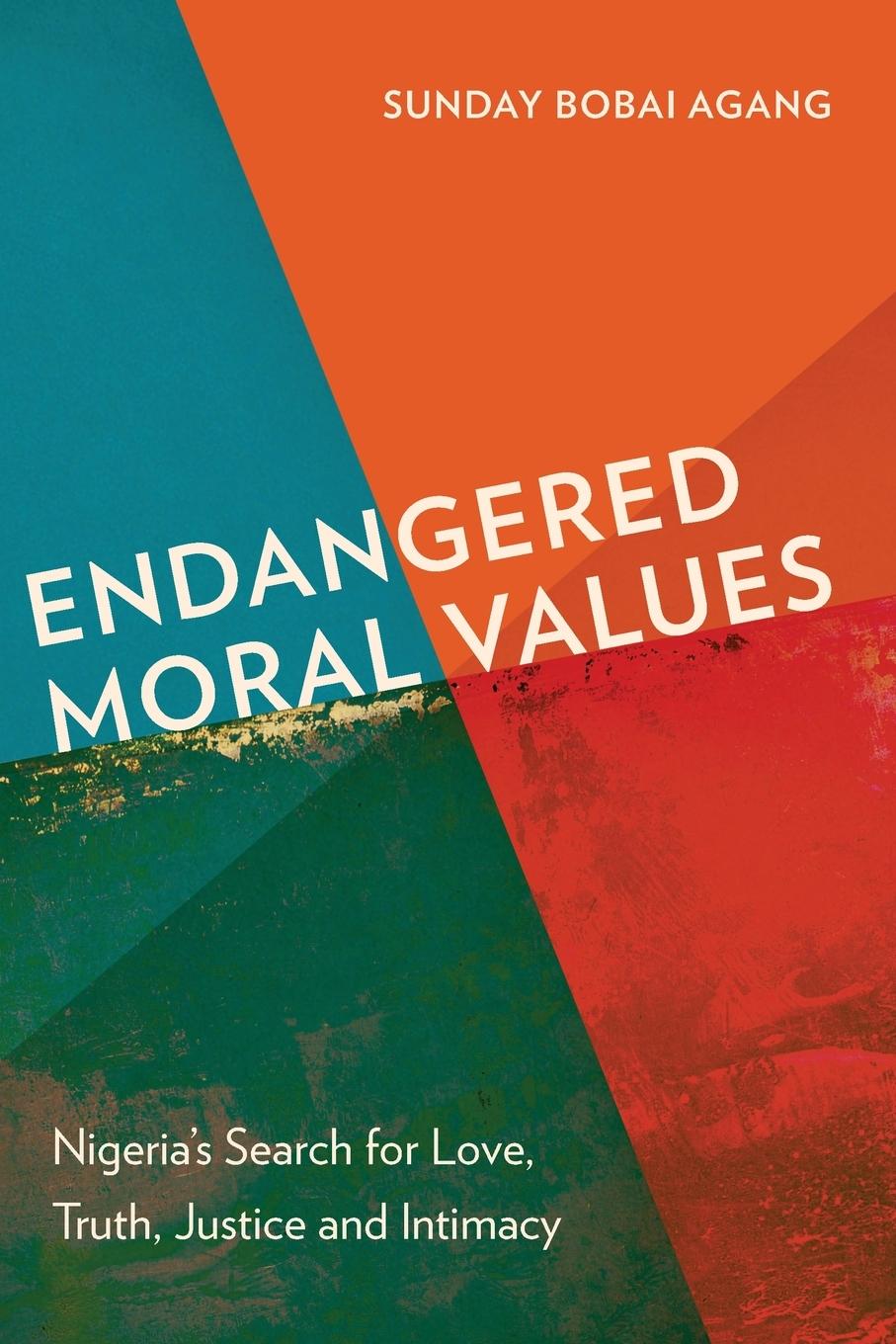Vorderes Coverbild Endangered Moral Values