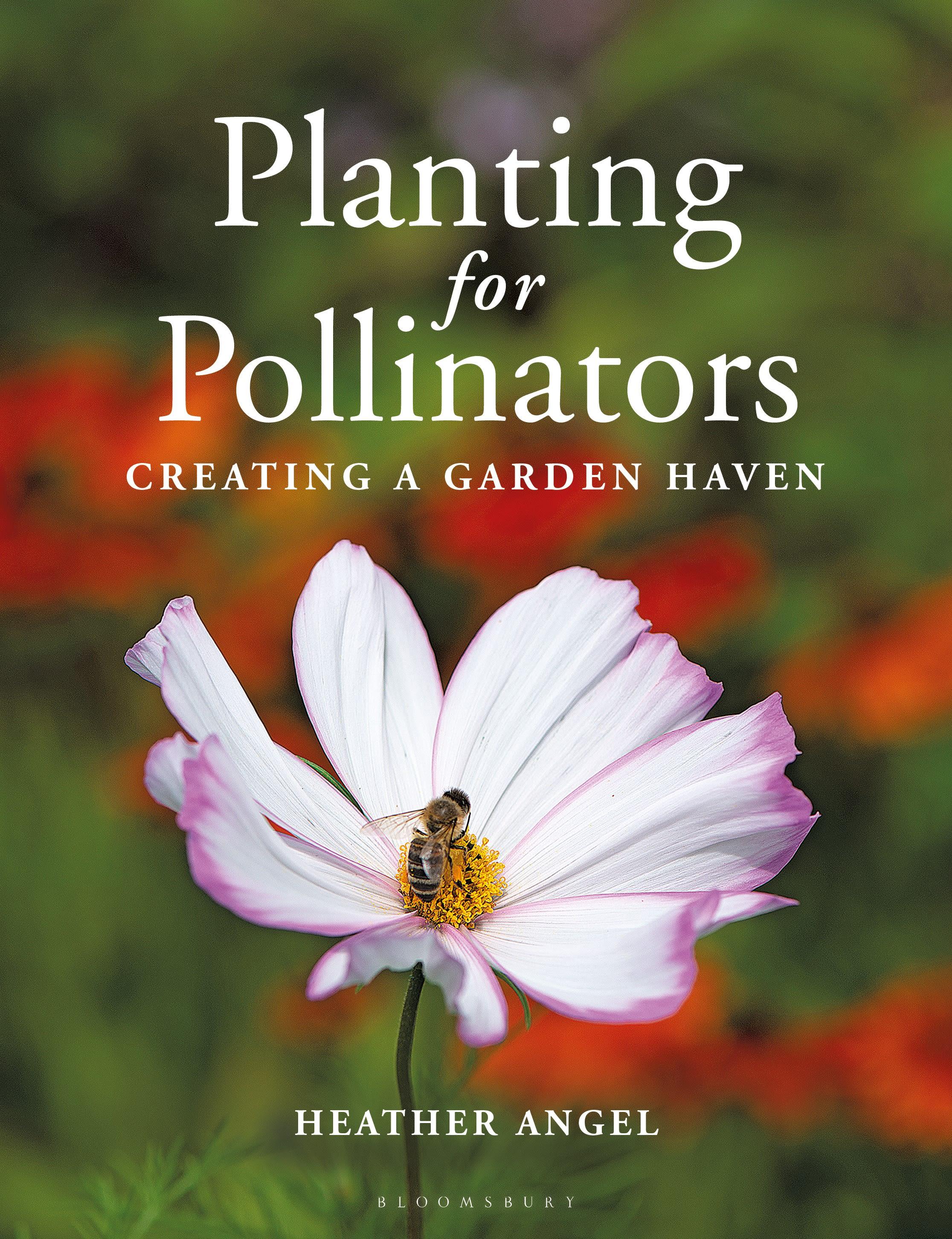 Vorderes Coverbild Planting for Pollinators