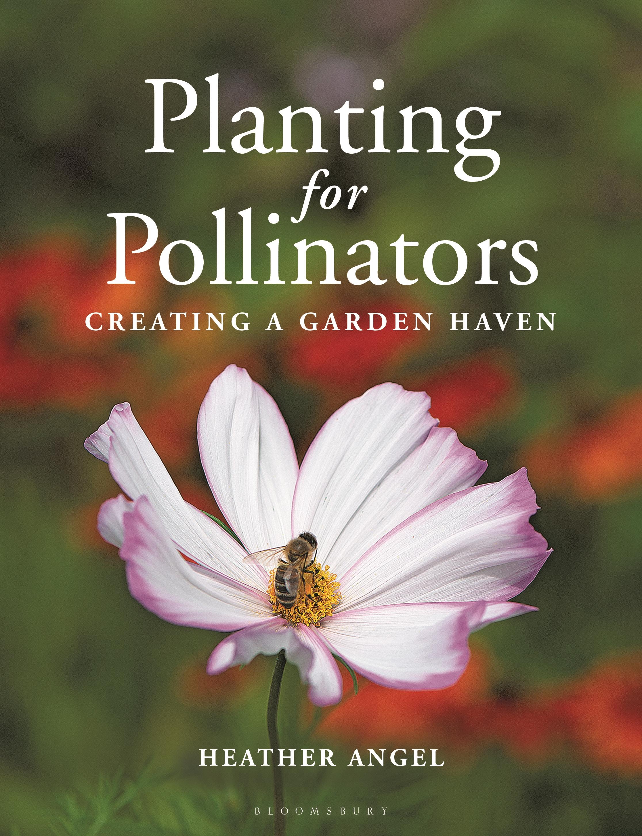 Autorenbild Planting for Pollinators