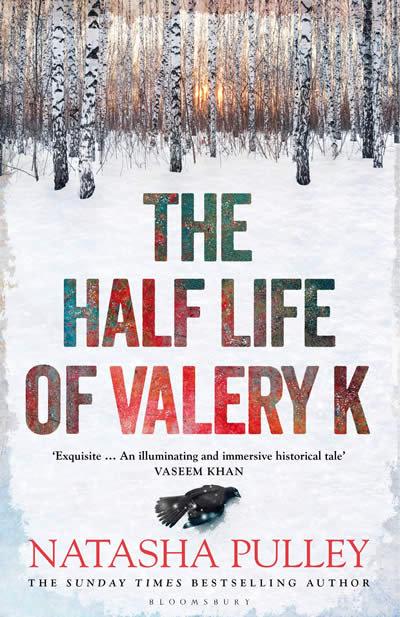 Vorderes Coverbild The Half Life of Valery K