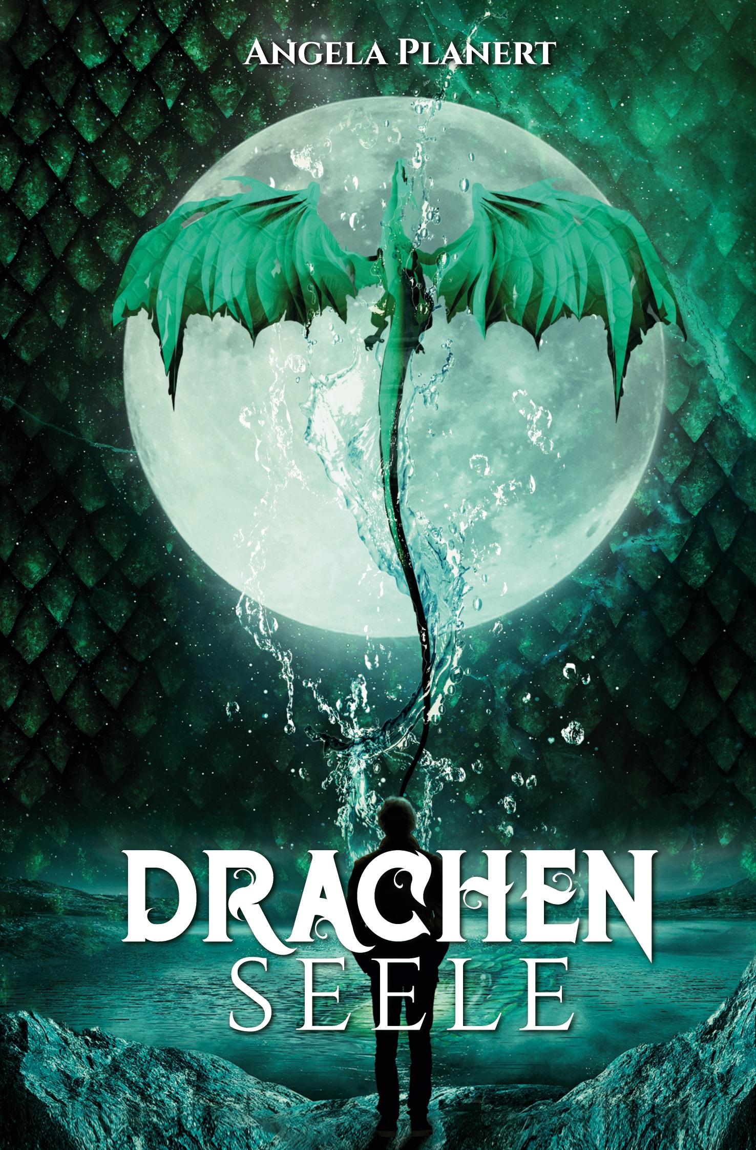 Vorderes Coverbild Drachenseele