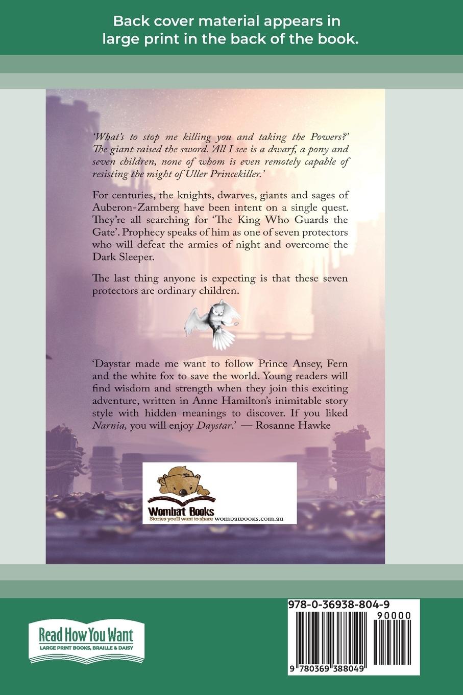 Rückseitencover Daystar