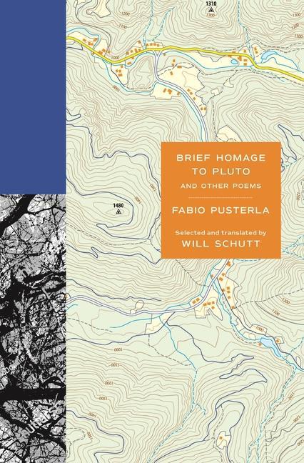 Vorderes Coverbild Brief Homage to Pluto and Other Poems