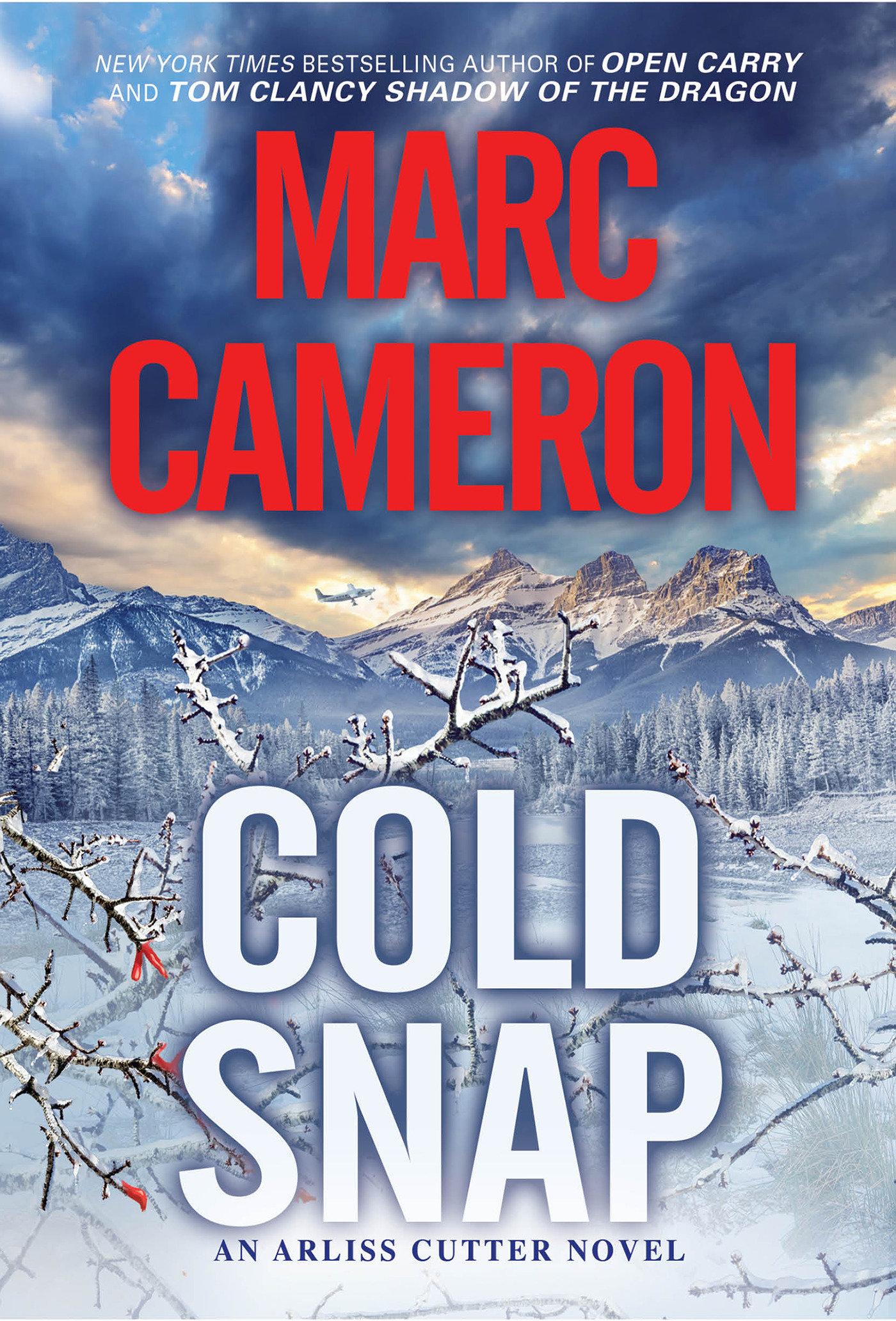 Vorderes Coverbild Cold Snap