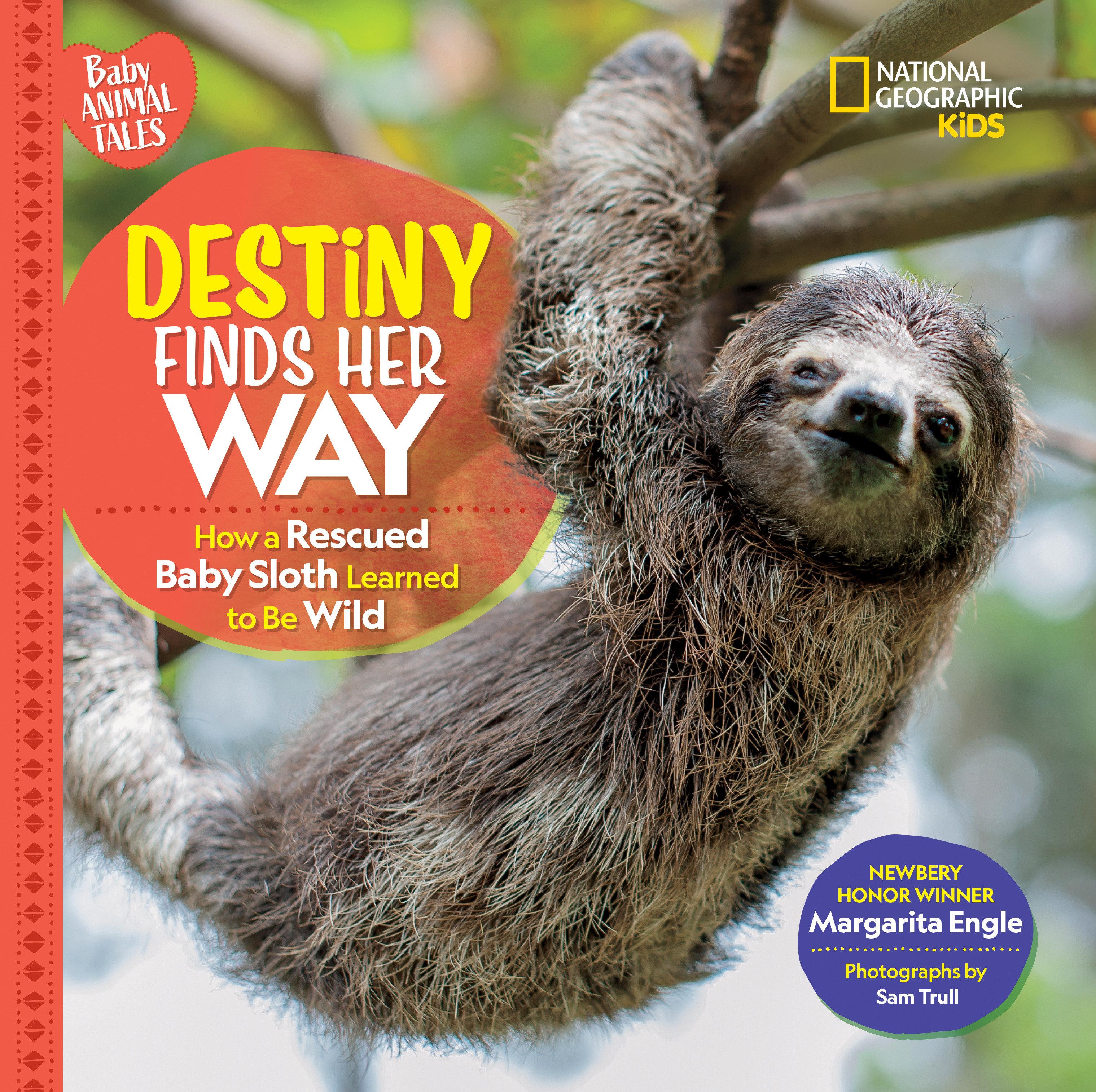 Vorderes Coverbild Destiny Finds Her Way