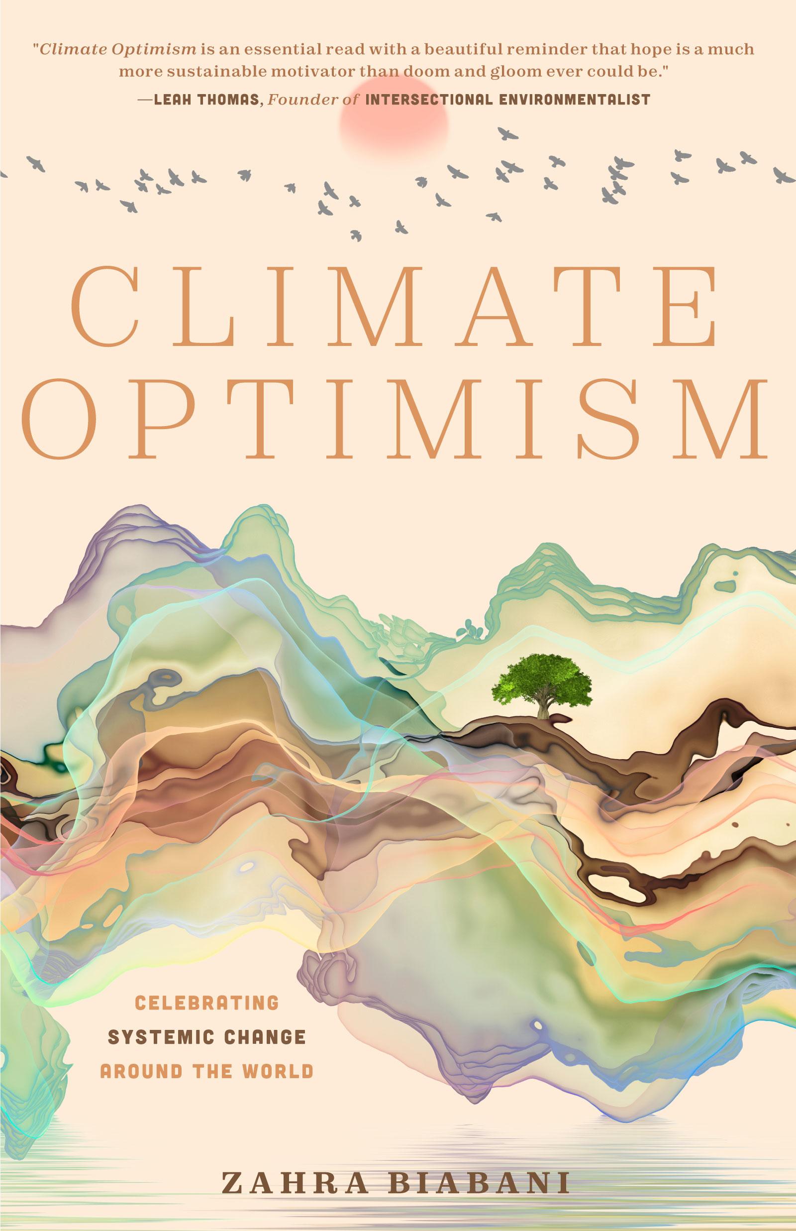 Beispielinhalt (Bild) Climate Optimism