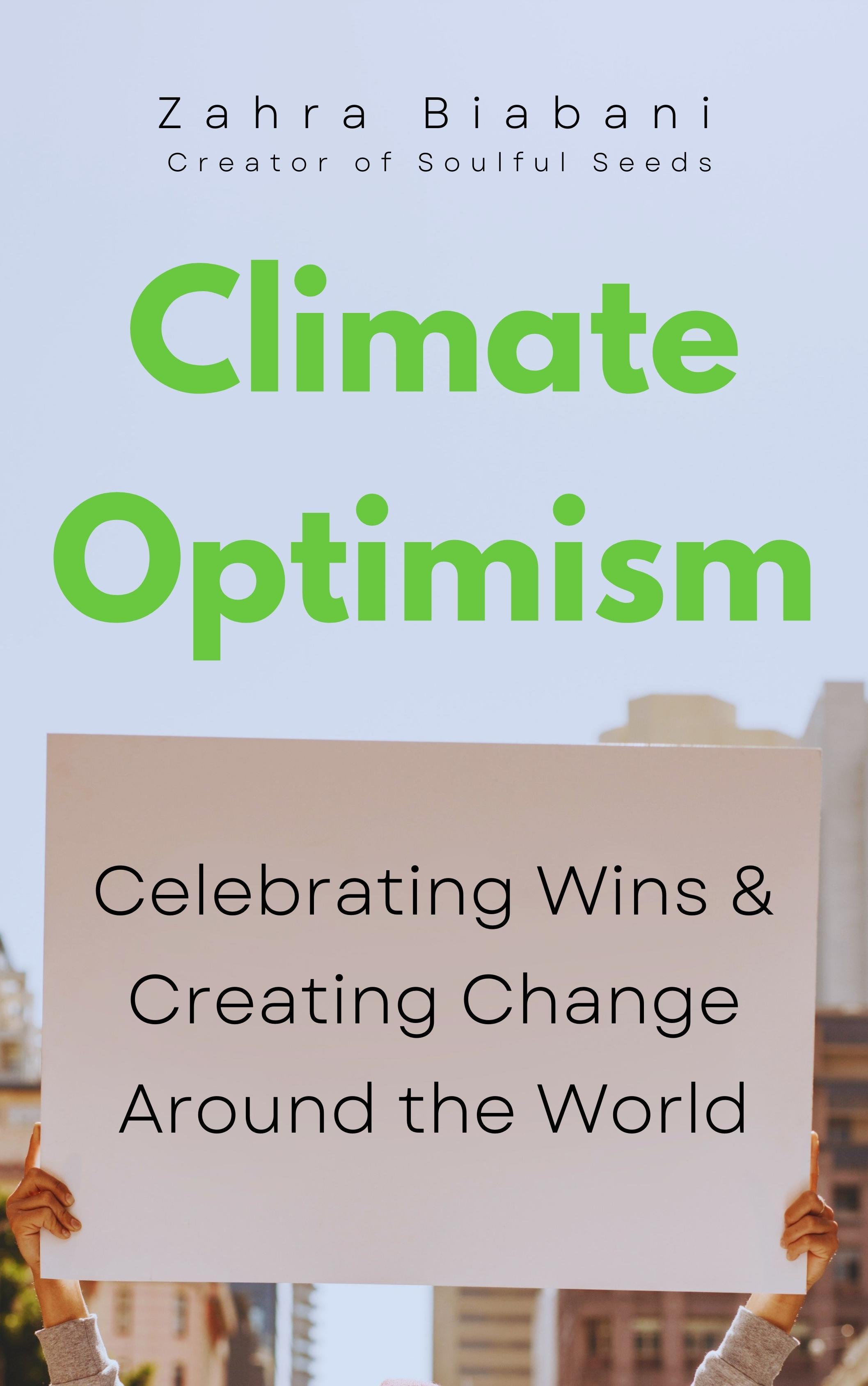 Beispielinhalt (Bild) Climate Optimism