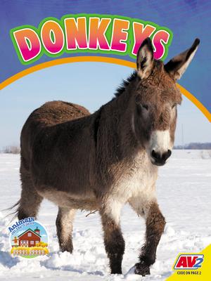 Vorderes Coverbild Donkeys