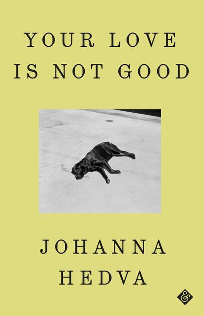 Vorderes Coverbild Your Love Is Not Good