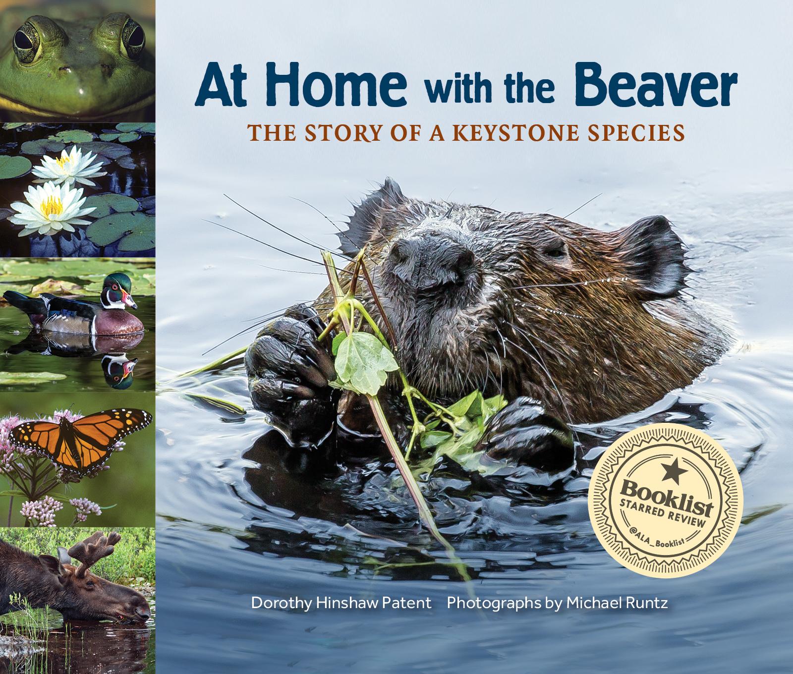 Vorderes Coverbild At Home with the Beaver