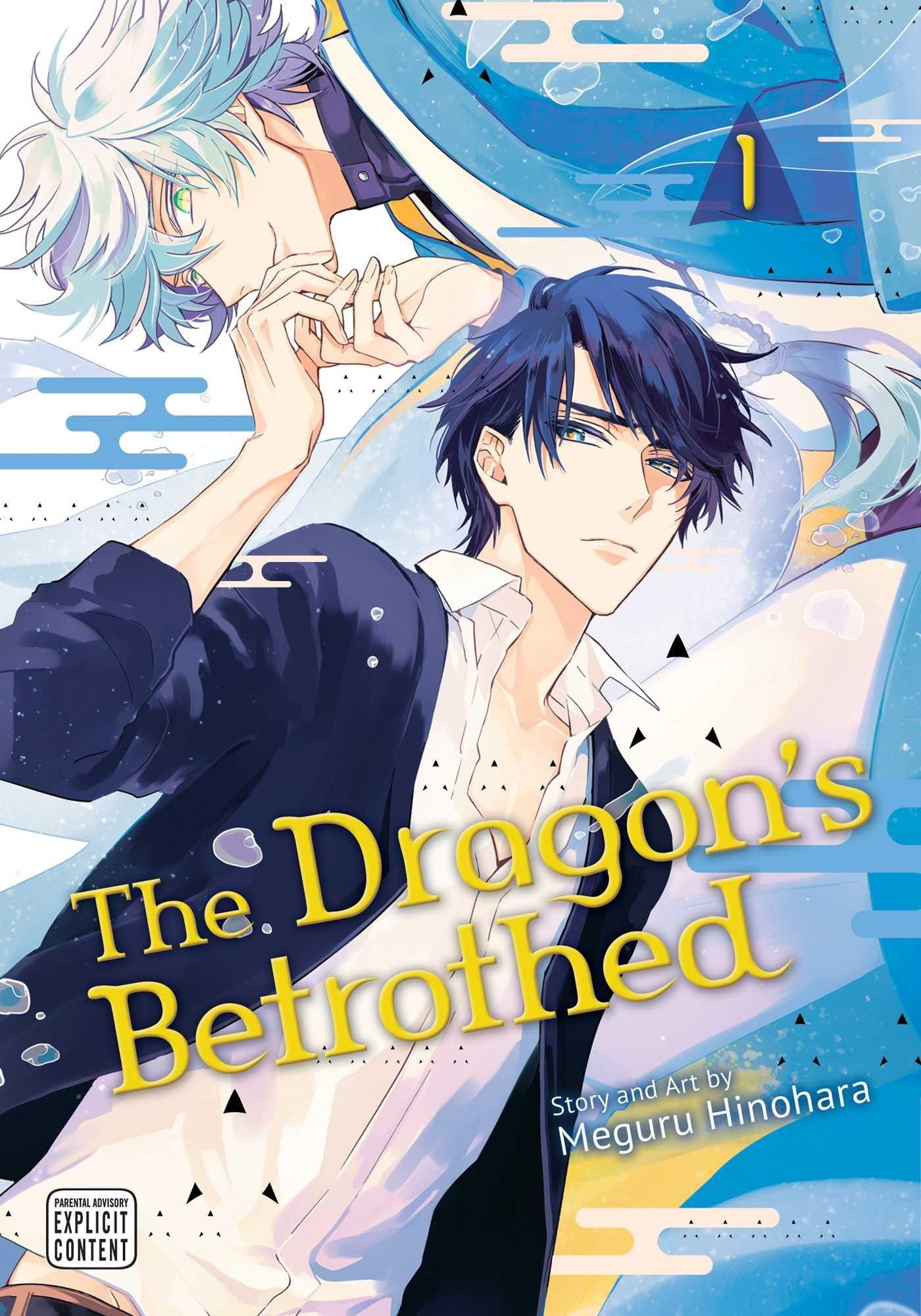 Vorderes Coverbild Dragon's Betrothed, Vol. 1