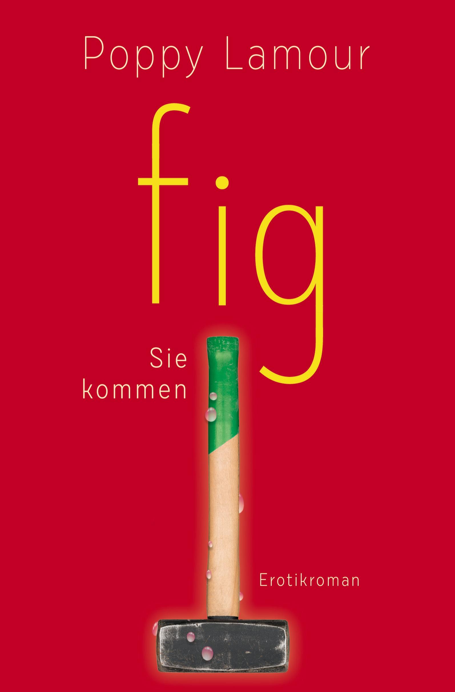 Vorderes Coverbild fig - Sie kommen