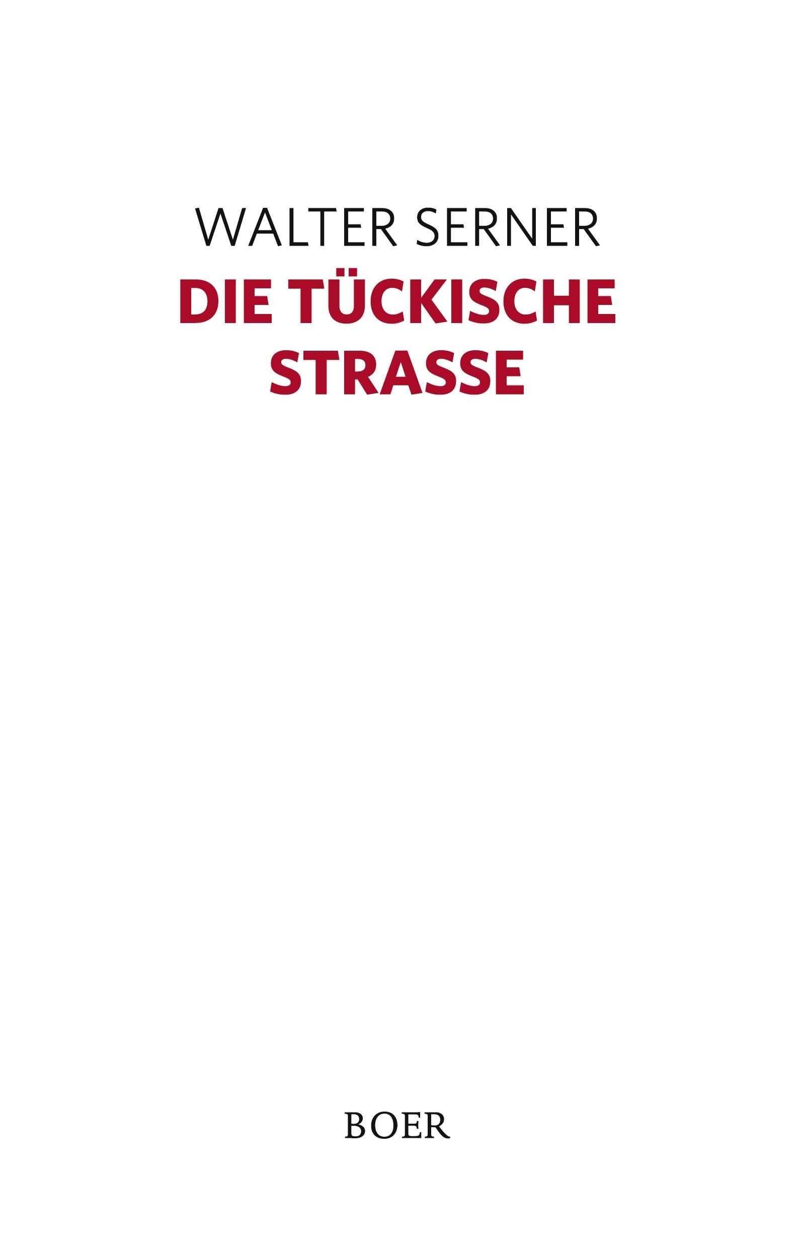 Vorderes Coverbild Die tückische Straße