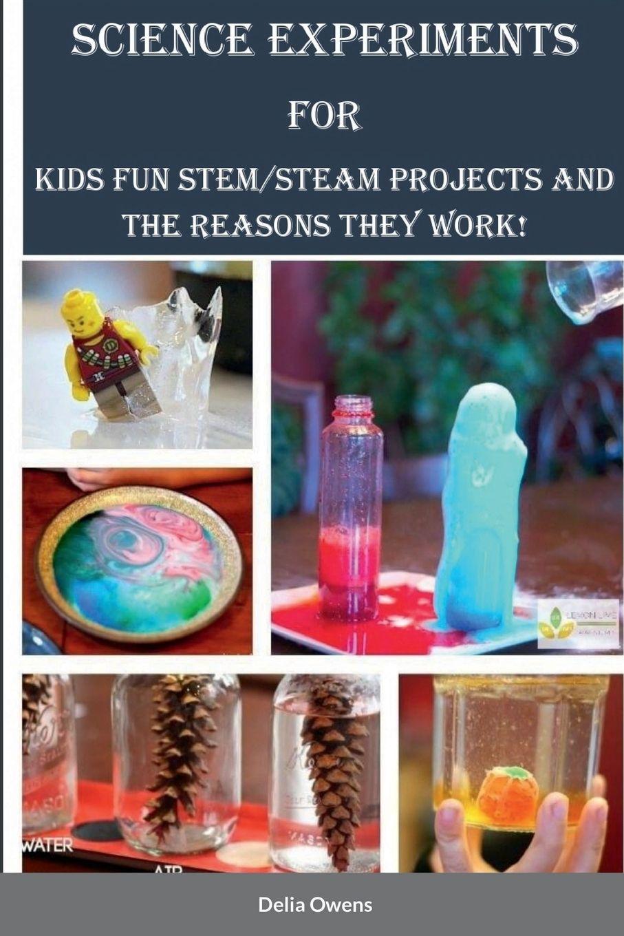 Vorderes Coverbild Science Experiments for Kids