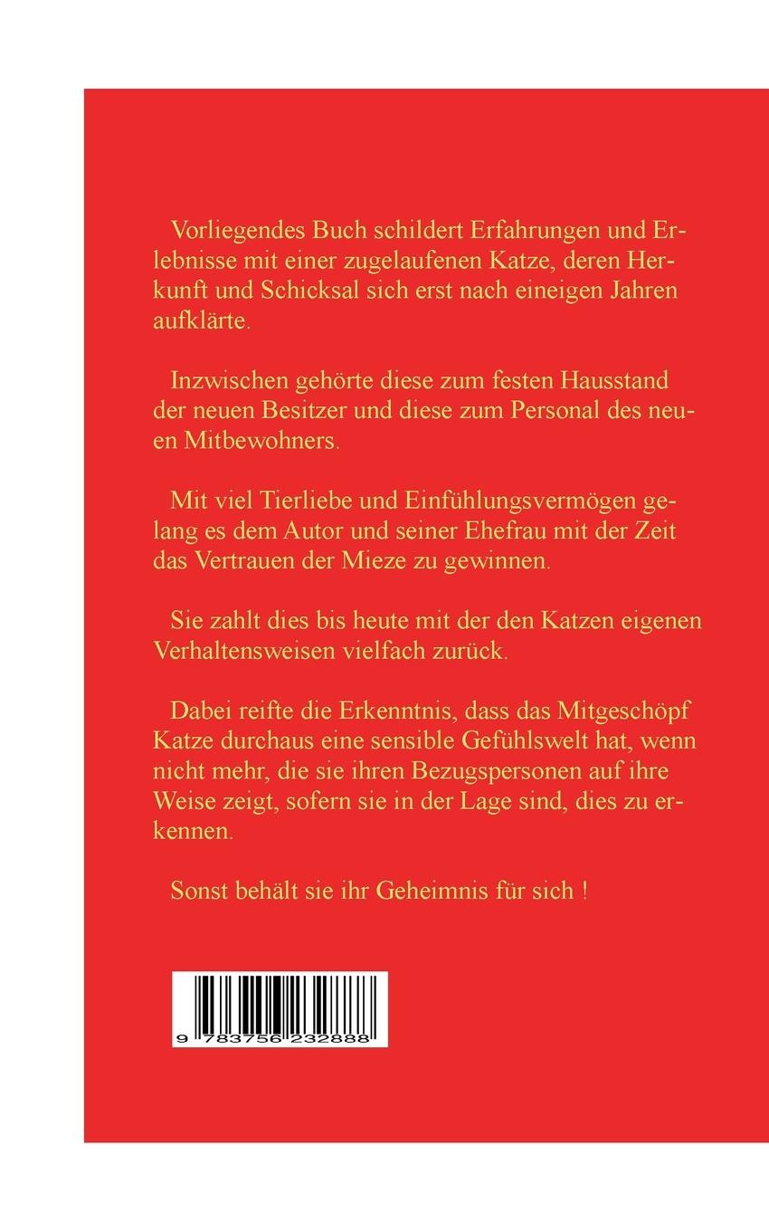 Rückseitencover Katze zugelaufen