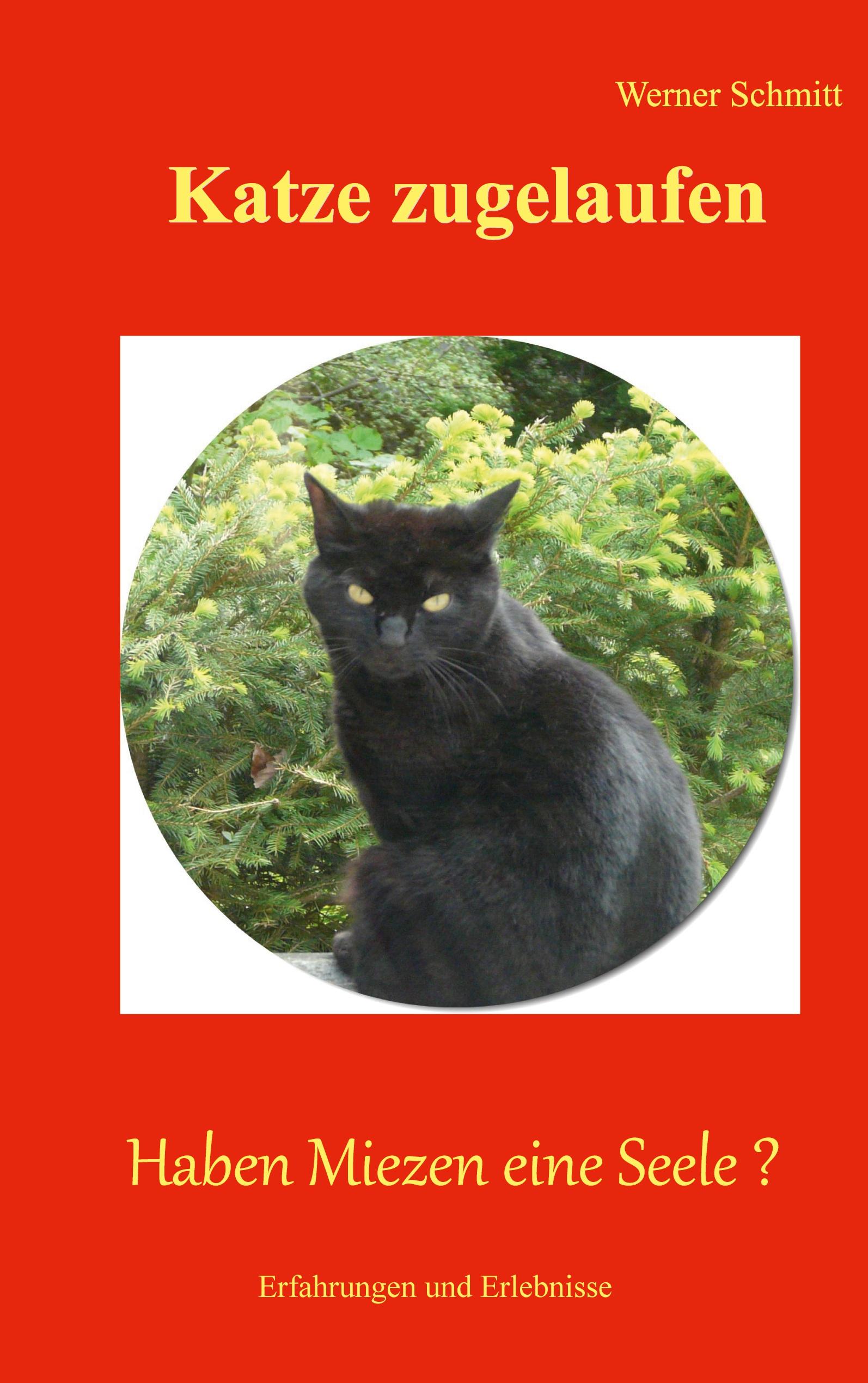Vorderes Coverbild Katze zugelaufen