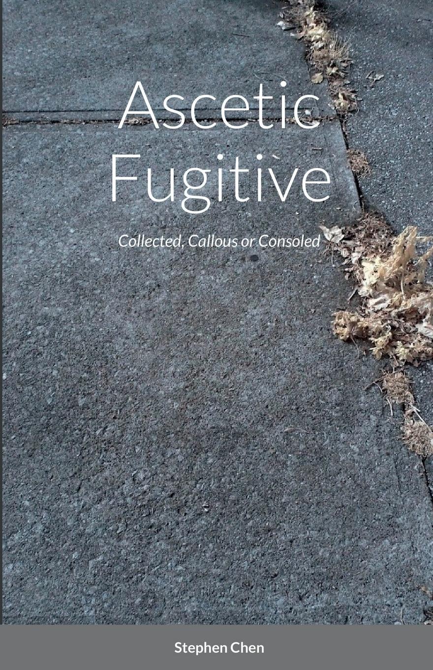 Vorderes Coverbild Ascetic Fugitive
