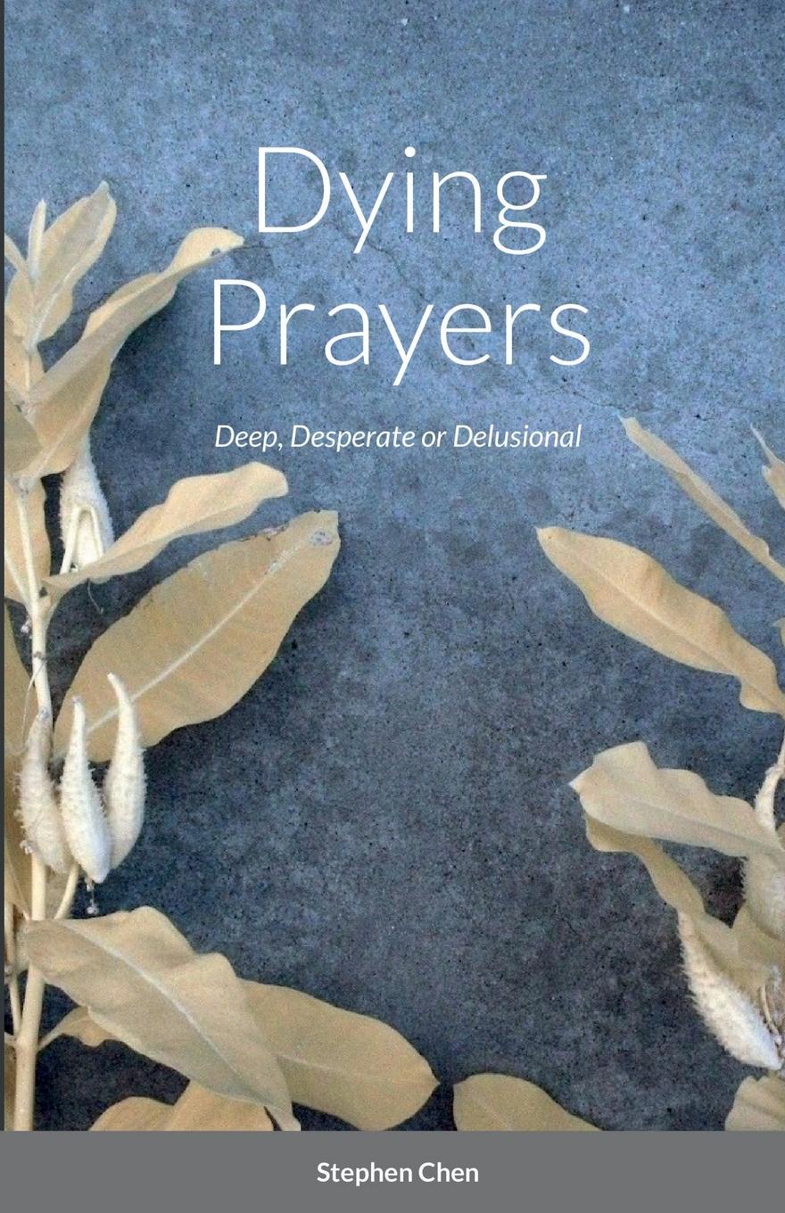 Vorderes Coverbild Dying Prayers