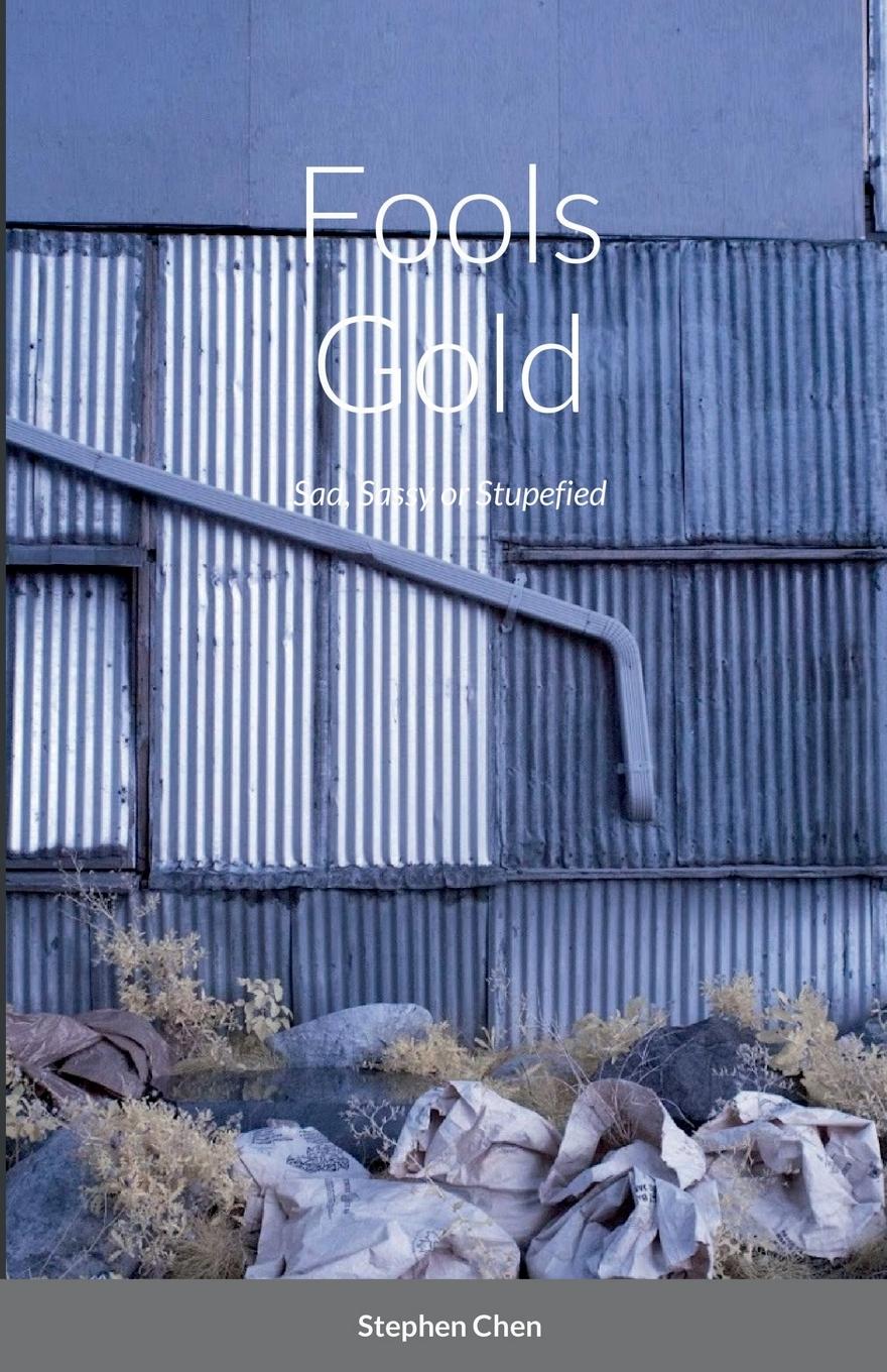 Vorderes Coverbild Fools Gold