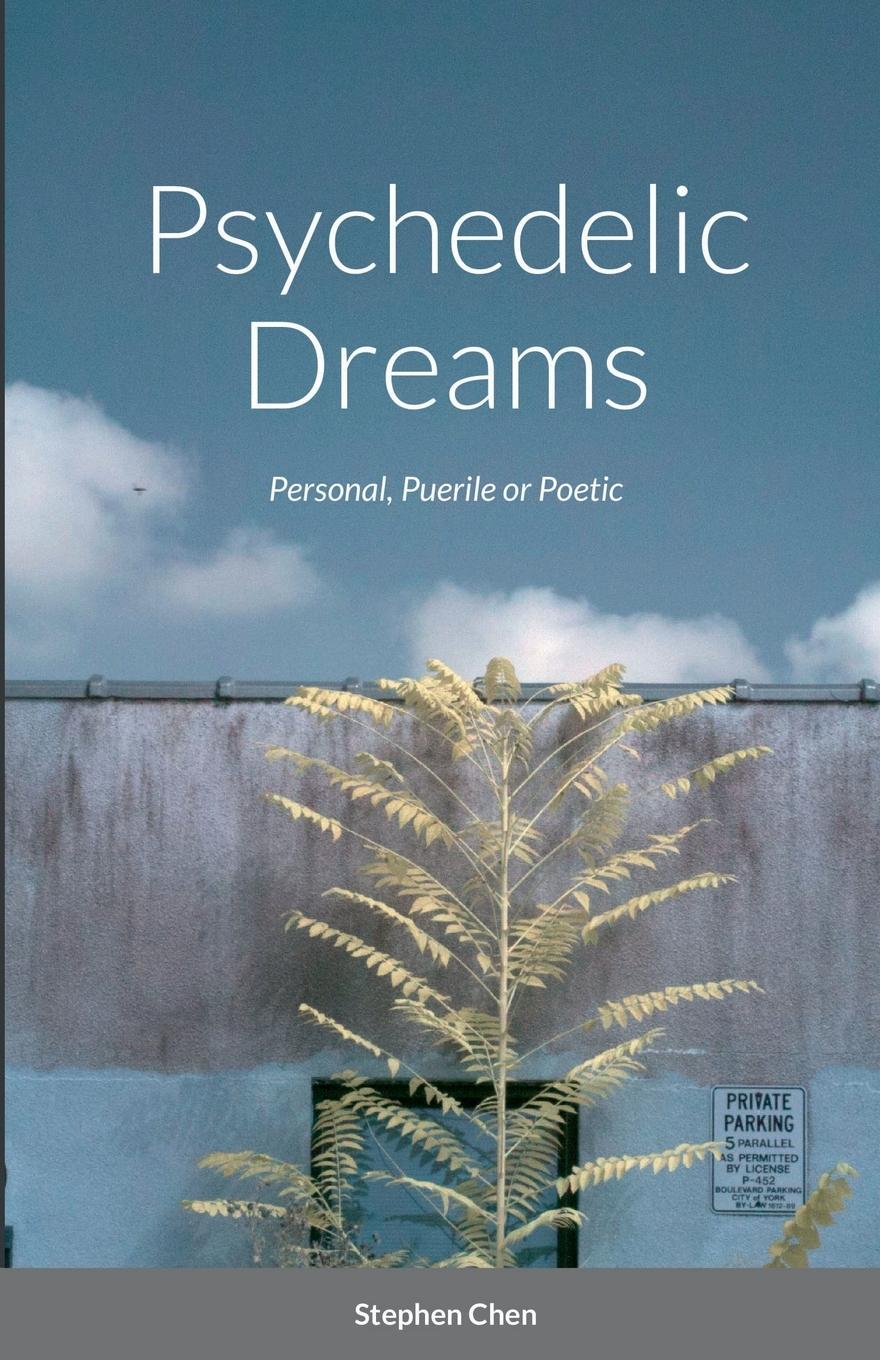 Vorderes Coverbild Psychedelic Dreams