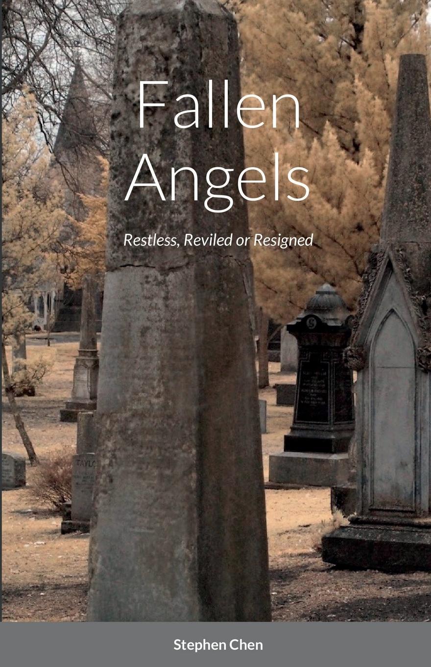 Vorderes Coverbild Fallen Angels