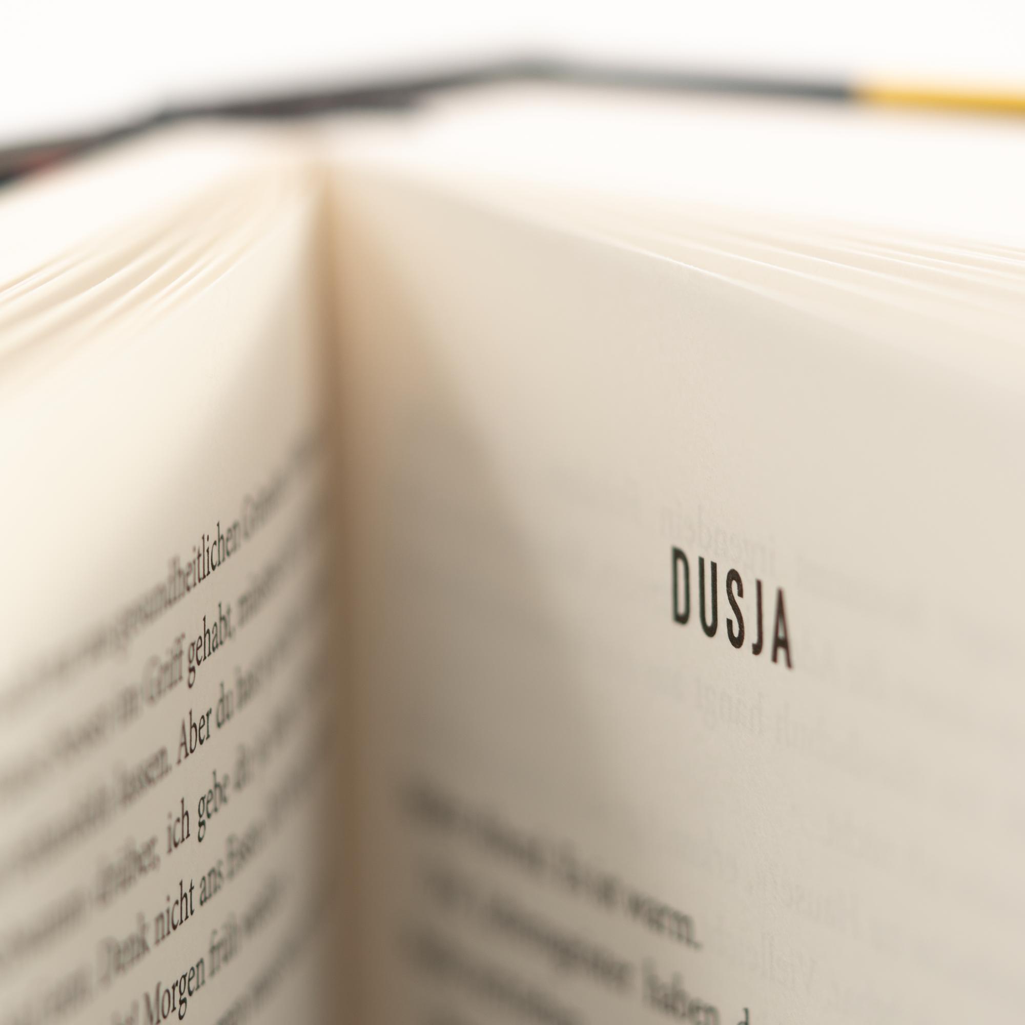 Beispielinhalt (Bild) Das Zeitalter der Roten Ameisen