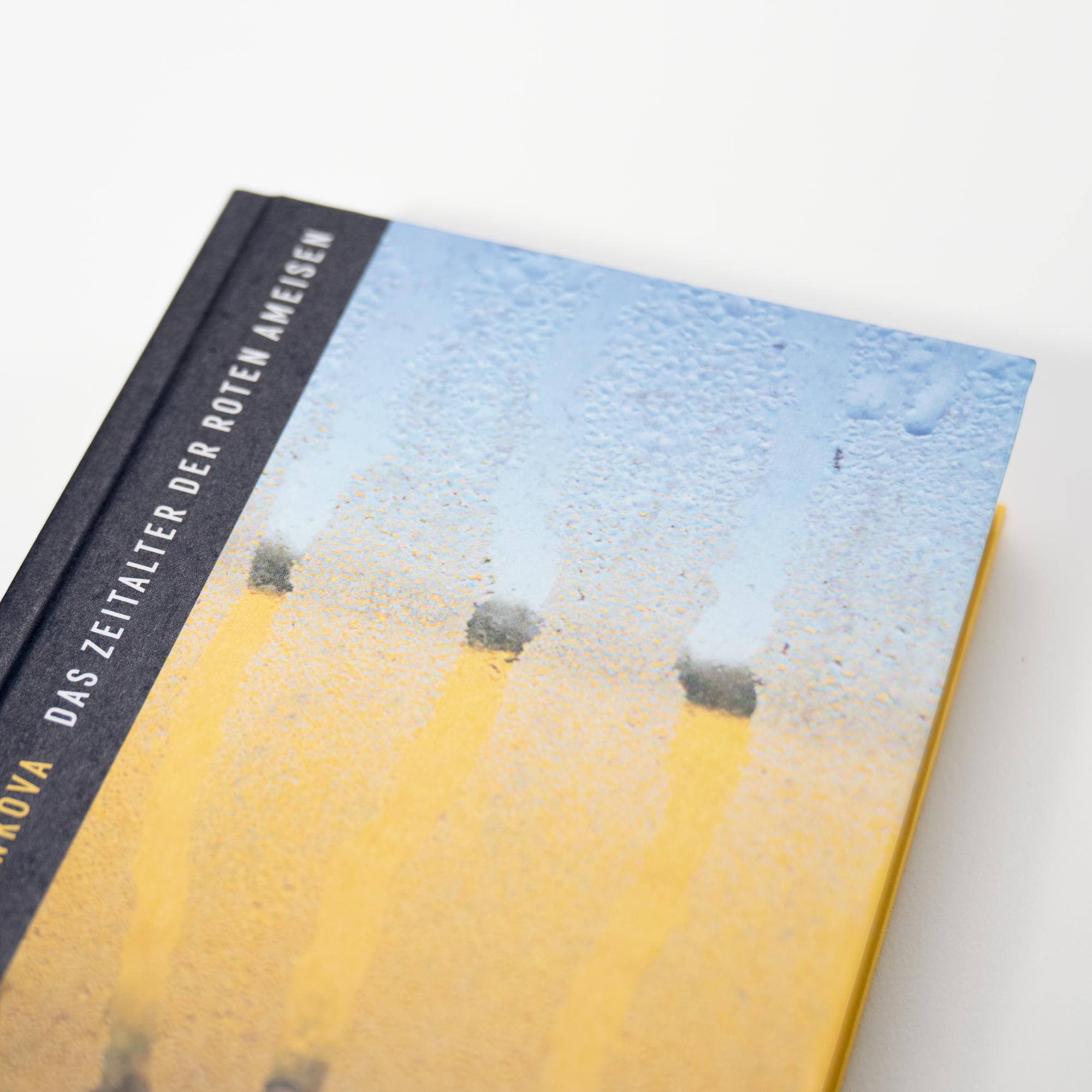 Beispielinhalt (Bild) Das Zeitalter der Roten Ameisen