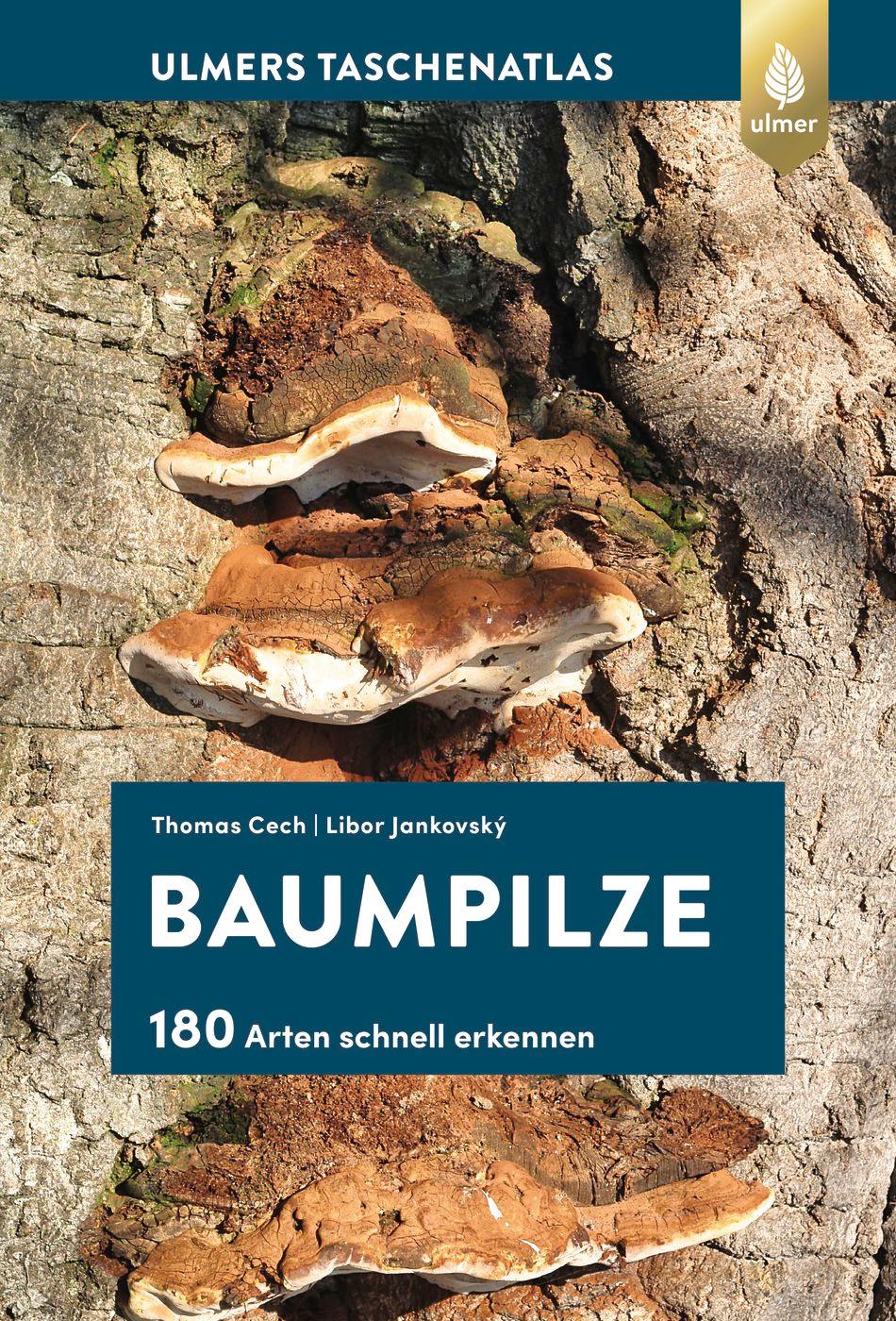 Vorderes Coverbild Baumpilze