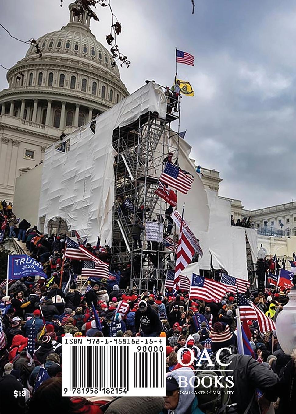 Rückseitencover Polling Data as a Means of Self-Expression