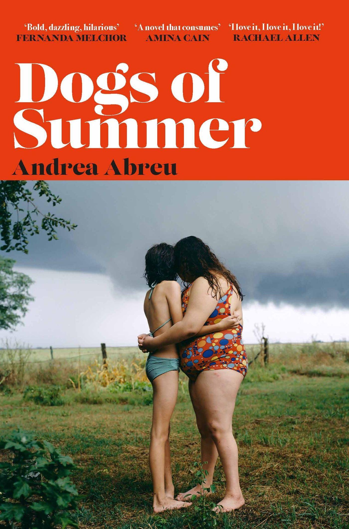 Vorderes Coverbild Dogs of Summer