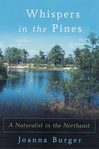 Vorderes Coverbild Whispers in the Pines