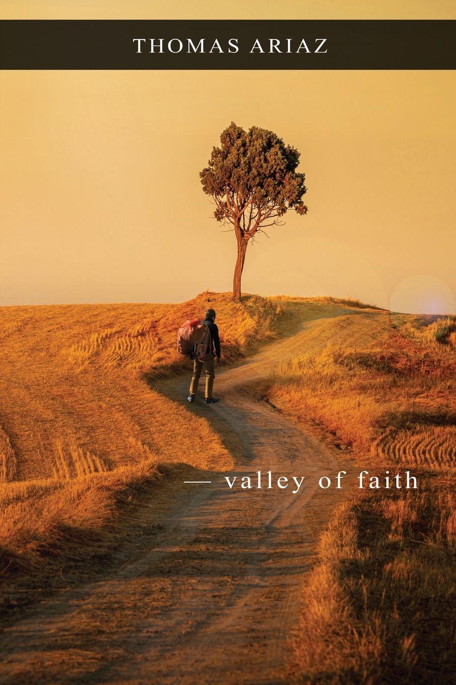 Vorderes Coverbild Valley of Faith