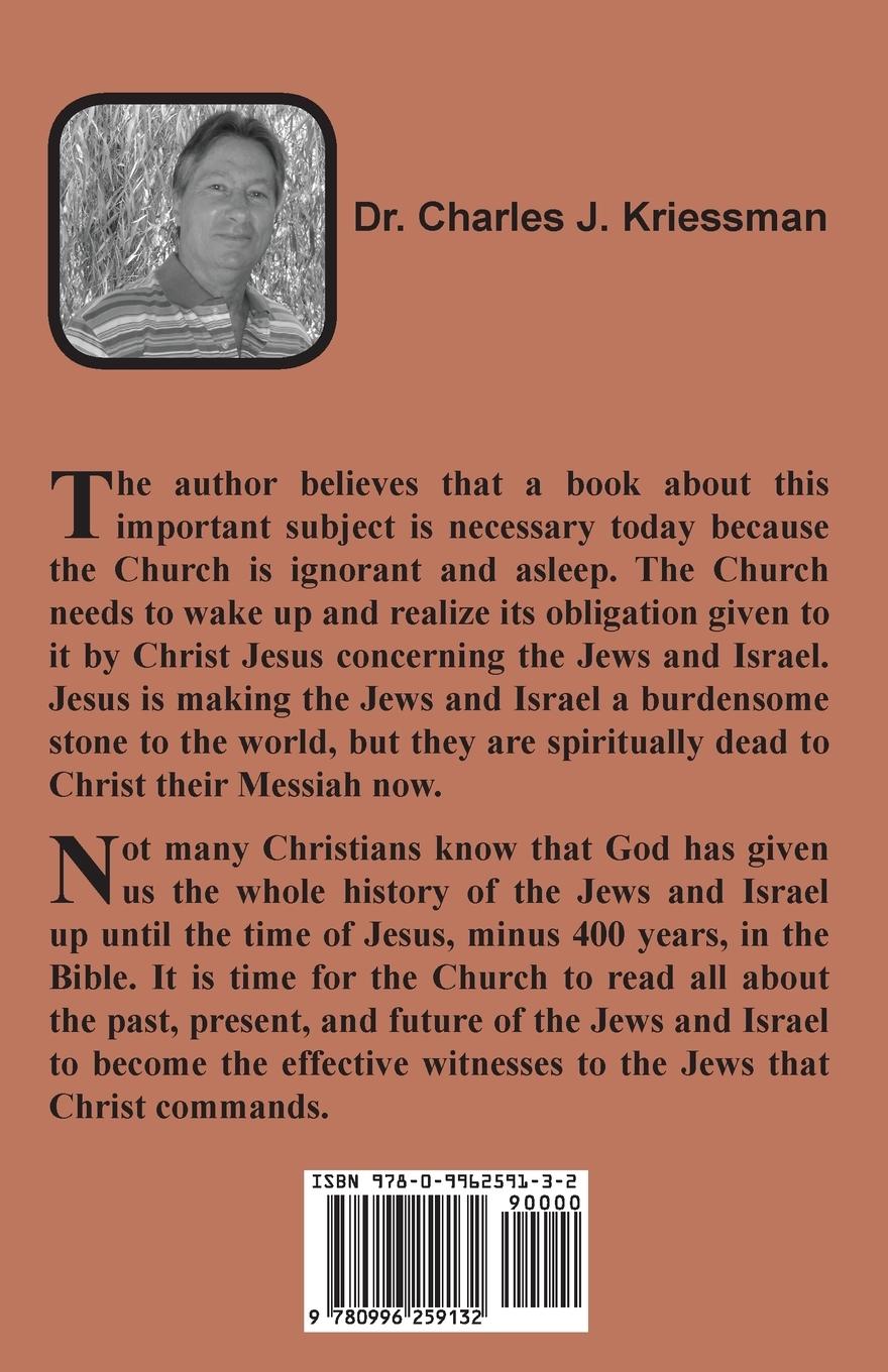 Rückseitencover The Jews and Israel