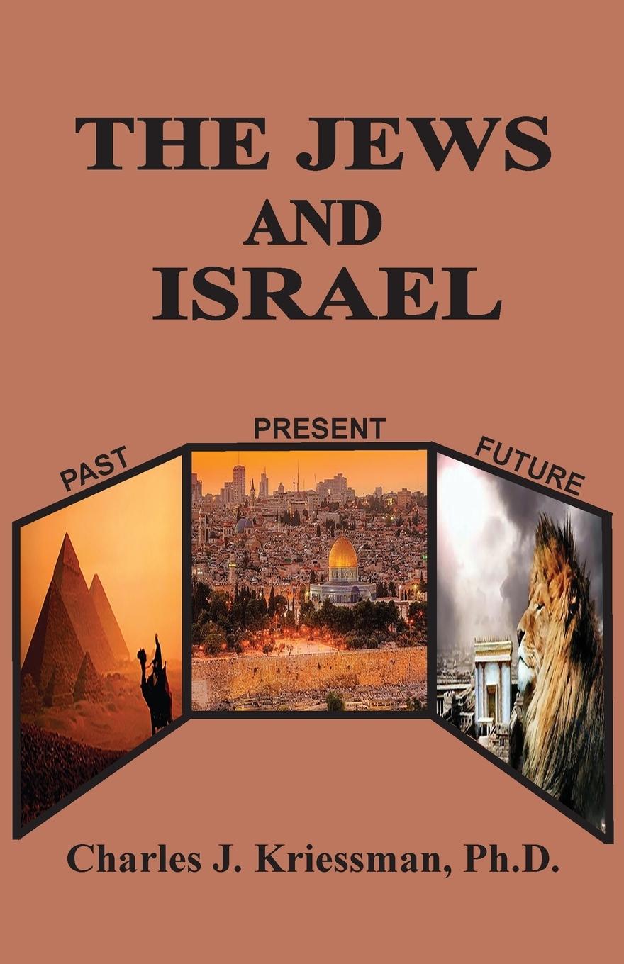 Vorderes Coverbild The Jews and Israel
