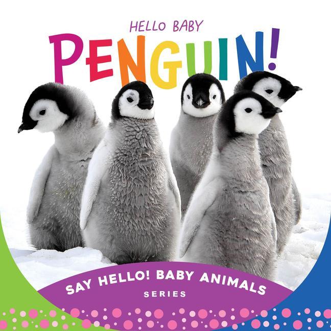 Vorderes Coverbild Hello Baby Penguin!