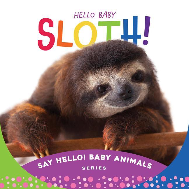 Vorderes Coverbild Hello Baby Sloth!